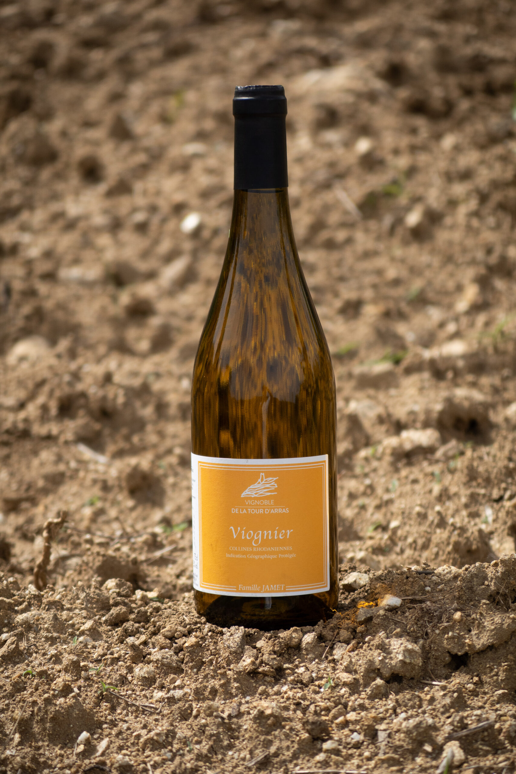 Viognier
