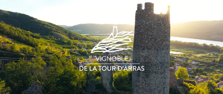 Vignoble de la tour d'Arras